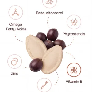 Renew Pumpkin Seed Oil