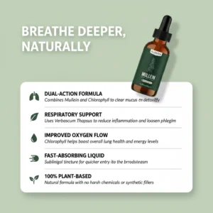 Aloura Mullein Leaf Extract