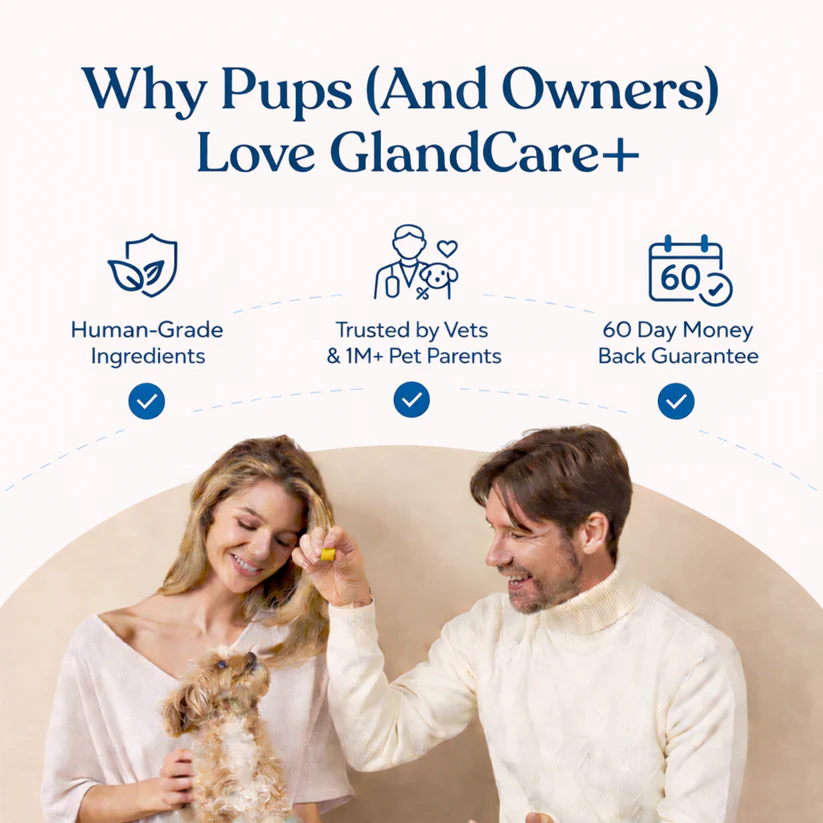 GlandCare+ Anal Gland Chews for Dogs — Natural Gland Support Supplement
