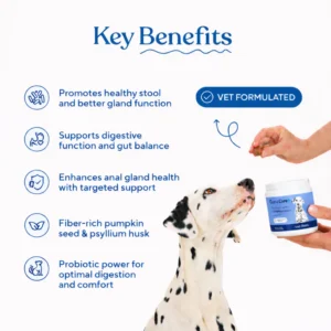 GlandCare+ Anal Gland Chews for Dogs — Natural Gland Support Supplement