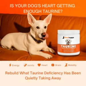 Woofsupps Taurine Essential Canine Health Support