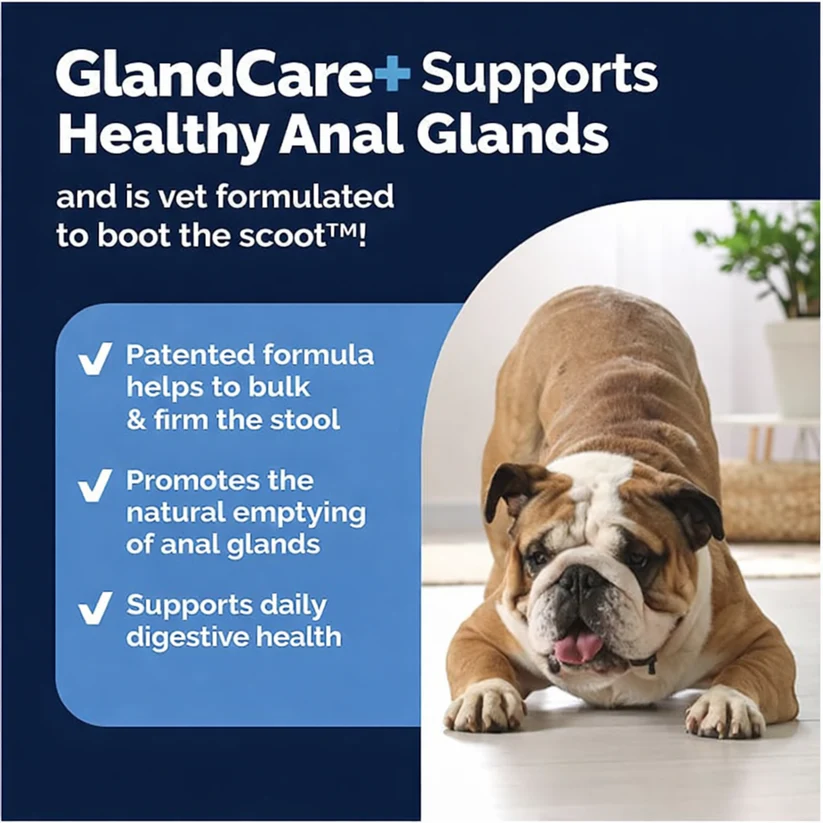 GlandCare+ Anal Gland Chews for Dogs — Natural Gland Support Supplement