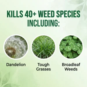 Vigoro® Advanced 2-in-1 Pro+ Herbicide