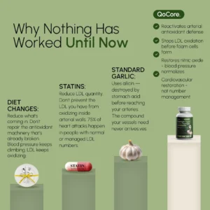 You feel tired in ways you cannot quite explain. Your energy is not what it used to be, and you find yourself worrying about your long-term wellness more than ever. You eat reasonably well, you try to stay active, yet something still feels off. That uncertainty ends here. **QoCore Premium Aged Garlic** is a thoughtfully crafted daily supplement designed to support your overall wellness routine in a clean, convenient way. **A Refined Daily Ritual for Modern Wellness** You deserve a wellness routine that is simple, clean, and easy to stick with. **QoCore** delivers a premium aged garlic blend in a refined capsule form, making it effortless to slot into your morning or evening ritual. This is one of our most popular products and a true customer favourite among those who care about everyday wellness and a balanced lifestyle. **Why QoCore Stands Out** - **Support your everyday wellness routine** with a refined botanical blend - **Enjoy an odorless daily capsule** with no aftertaste or strong scent - **Discover a premium plant-based formula** that fits any lifestyle - **Elevate your supplement shelf** with a thoughtfully aged ingredient - **Embrace a convenient ritual** that takes seconds out of your day **The Botanical Blend Inside** **Aged Black Garlic Extract** is the heart of **QoCore**. Through a careful aging process, garlic transforms in character, becoming softer, milder, and free of the sharp pungency of fresh cloves. **Standardized S-Allylcysteine (SAC)** is the signature compound preserved through the aging method. This water-soluble component gives aged garlic its refined, premium identity. **Antioxidant-Rich Profile** rounds out the formula. The dual-process aging method is designed to highlight the gentler, more concentrated qualities of garlic compared to the raw form. **A Modern Approach to Daily Wellness** Unlike many ordinary garlic supplements on the market, **QoCore** is built around a refined dual-process formulation. Where most standard formulas fall short on smell and digestion comfort, this premium capsule is designed to be odorless and easy to take any time of day. It is a quiet game-changer for anyone who wants their wellness shelf to feel as considered as their skincare routine. **The Sensory Experience** The capsules are smooth, neutral, and easy to swallow with a glass of water. There is no garlic breath, no aftertaste, and no heavy scent. Slipping **QoCore** into your morning coffee ritual or evening wind-down becomes a small, effortless act of self-care that quickly becomes second nature. **How to Use** Take one capsule daily with a glass of water, ideally at the same time each day. For best results, pair with a balanced diet, regular movement, quality sleep, and good hydration habits. Consistency is essential. Make **QoCore** part of your daily ritual to support your everyday wellness lifestyle. **What's Included** One bottle of **QoCore Premium Aged Garlic** capsules, formulated for a complete daily wellness routine and designed for those who value clean, plant-based supplements. **Who It's Made For** Perfect for anyone looking for a refined, plant-based daily wellness companion. Ideal for those who want to elevate their everyday supplement shelf, support an active lifestyle, or simply add a smarter ingredient to their routine. If you have searched for an odorless, modern take on a time-honored botanical, this premium formula was created with you in mind. **Why Customers Love It** **QoCore** is trending in our store right now and highly sought-after by those who value clean, considered formulations. Loved by our customers for its odorless feel, simple daily ritual, and the polished addition it makes to a thoughtful wellness shelf. **Transform Your Daily Wellness Ritual** You do not need to settle for harsh-smelling supplements or complicated routines. You can finally discover a refined, easy-to-use daily companion that fits seamlessly into your lifestyle. **Add QoCore to your cart today and start your refreshed wellness ritual.** Stock often moves quickly during popular seasons, so it is wise to secure your bottle while it is available. **Frequently Asked Questions** **How do I take QoCore?** Take one capsule daily with a glass of water, ideally at the same time each day for consistency. **Will it cause garlic breath or burps?** The aged garlic formula is designed to be odorless and gentle, so most users do not experience garlic breath or aftertaste. **Is it suitable for vegans?** The formula is plant-based and crafted for those who prefer clean, vegan-friendly supplements. Always check the latest label for full details. **How long should I use it?** Consistency matters most. Use daily for several weeks to fully evaluate how it fits into your routine and lifestyle. --- *Disclaimer: This product is not intended to diagnose, treat, cure, or prevent any disease. Individual results may vary. This product is designed for general wellness and personal care use only. Please consult a qualified healthcare professional before use, especially if you have a pre-existing medical condition, are pregnant, or are taking medication.*