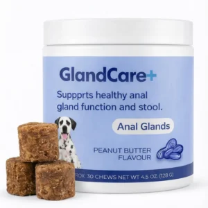 GlandCare+ Anal Gland Chews for Dogs — Natural Gland Support Supplement